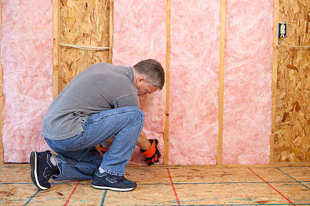 Best Insulation Replacement Services  in Sumner, IA