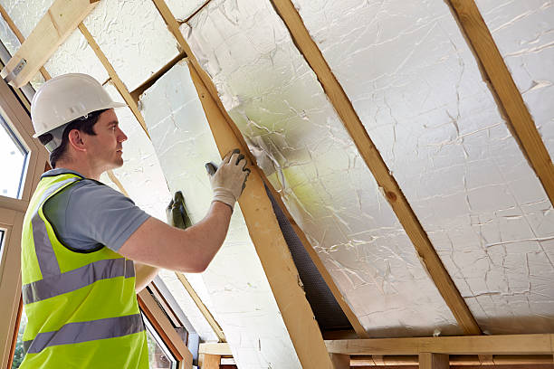 Best Residential Insulation Services  in Sumner, IA