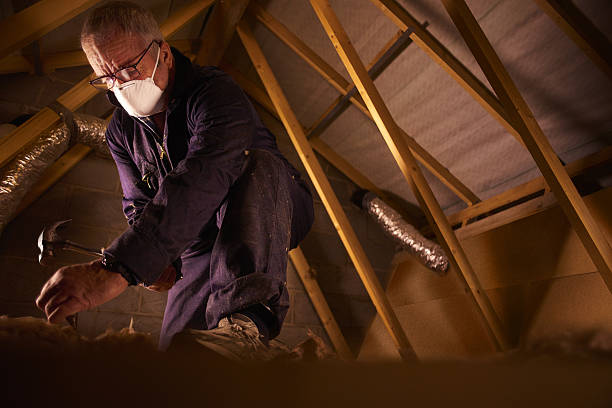 Best Professional Insulation Contractor  in Sumner, IA